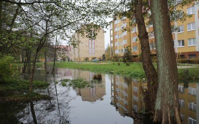 Подрядчик занимается очисткой дна озера в Чкаловске