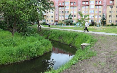 Фотопрогулка вдоль очищенного притока реки Голубой в Чкаловске